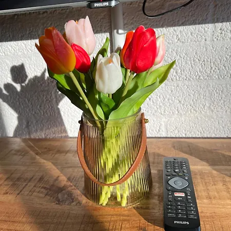 Vakantiebungalow Nr 7 In Het Heuvelland Simpelveld