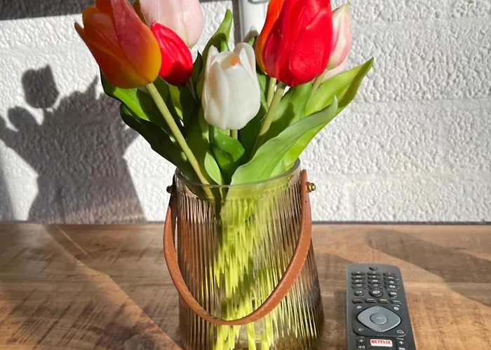 Vakantiebungalow Nr 7 In Het Heuvelland 심펠벨트